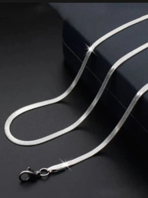 Silver Snake Chain Stainless Steel Boys Necklace